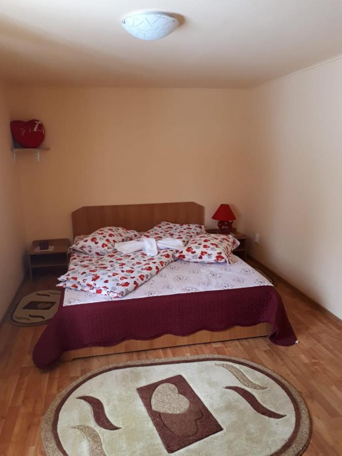 Casa Ionel Si Dani Villa Fundata Bagian luar foto