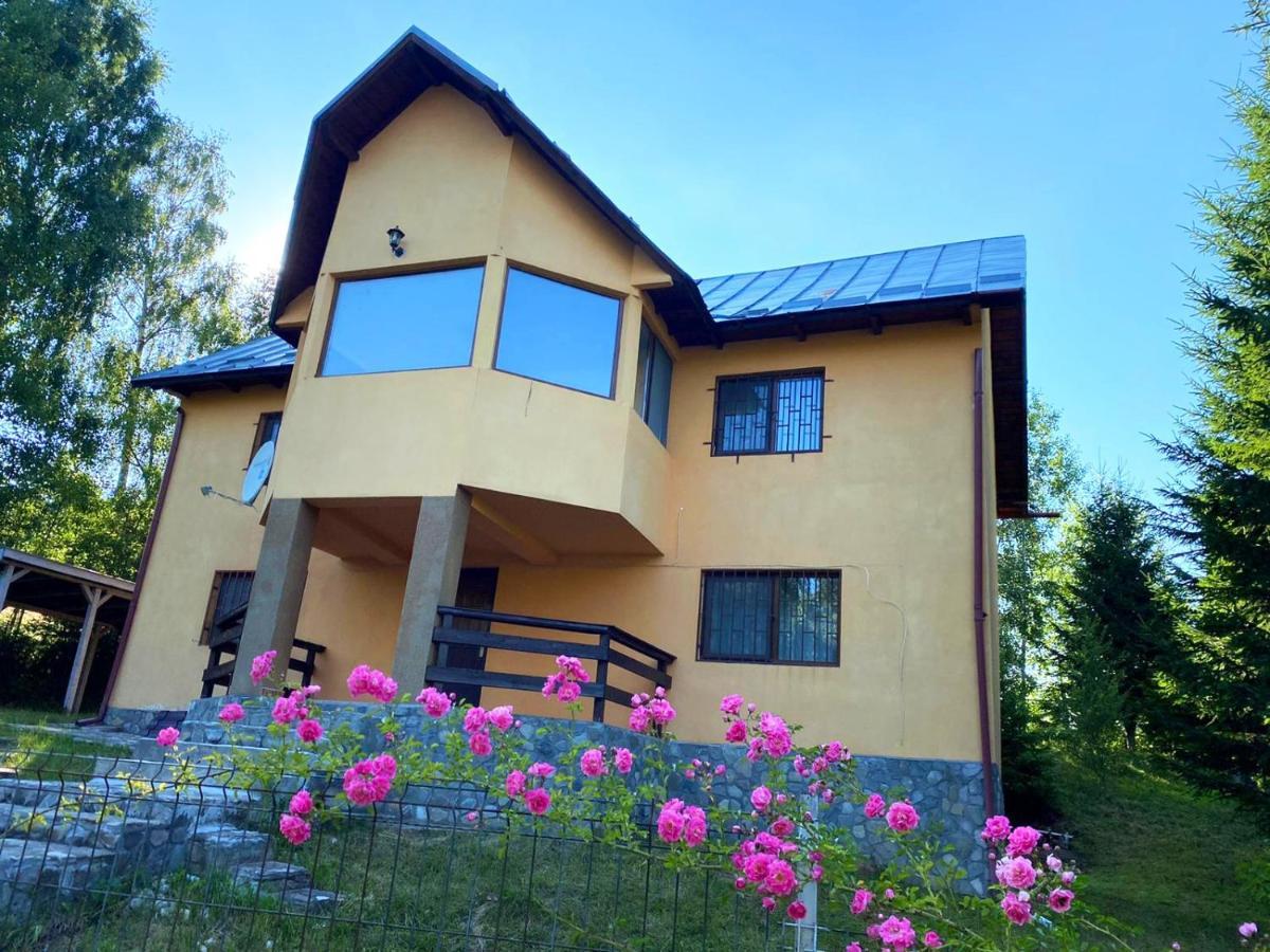 Casa Ionel Si Dani Villa Fundata Bagian luar foto