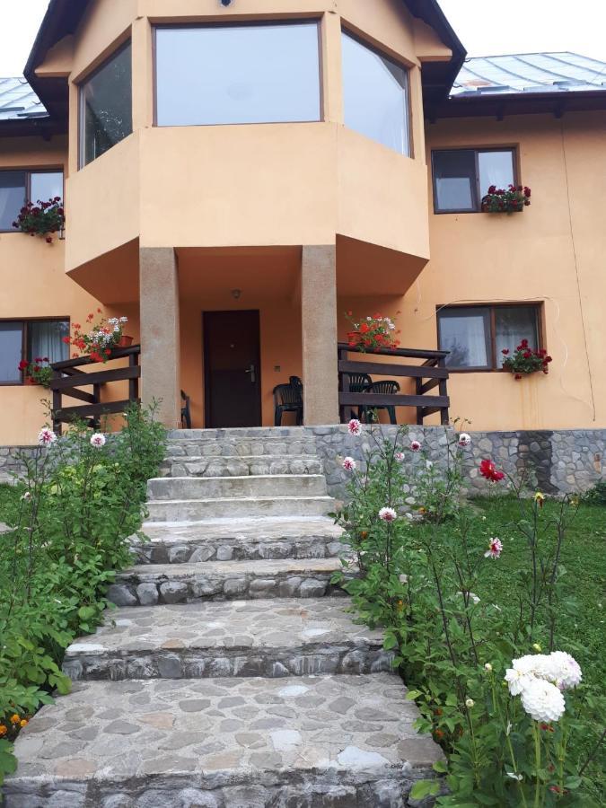 Casa Ionel Si Dani Villa Fundata Bagian luar foto