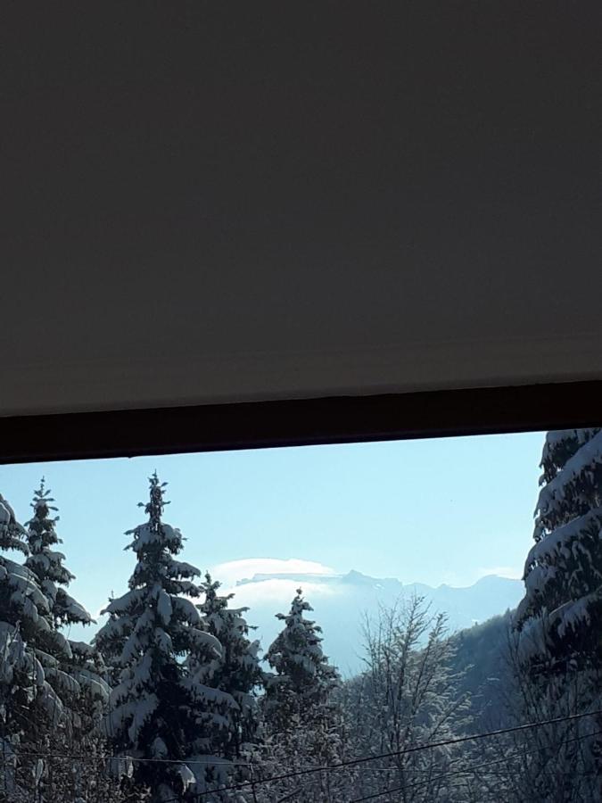 Casa Ionel Si Dani Villa Fundata Bagian luar foto