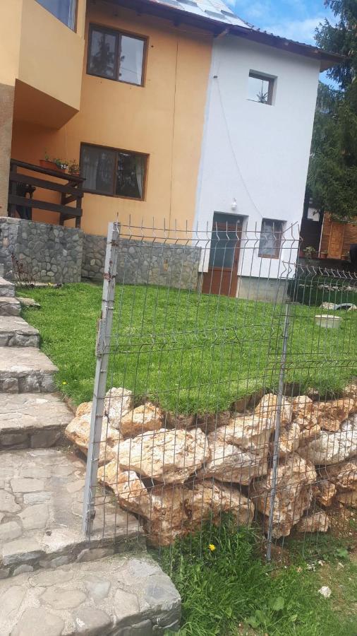 Casa Ionel Si Dani Villa Fundata Bagian luar foto